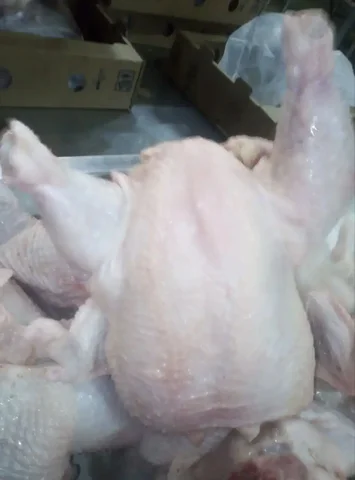 Продажа курицы маточника от 3 кг - Животные в Москва