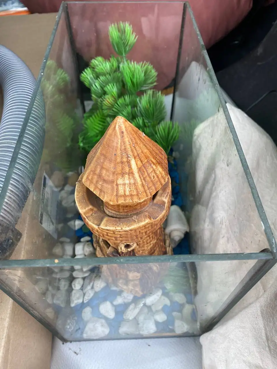 Продажа аквариума в Самаре - Аквариумистика (Хобби и отдых) в Самара