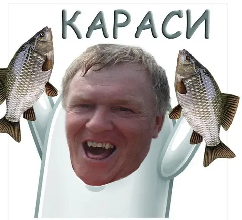 Крупный свежий карась в наличии - Животные в Самара