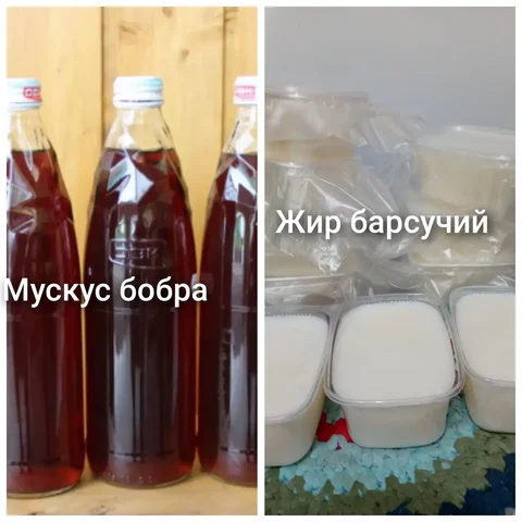 Продам струю бобра, струю кабарги, барсучий жир - Красота и здоровье в Самара
