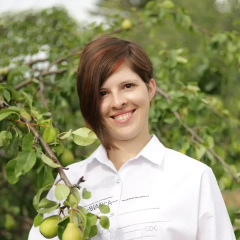 Сушеные овощи, фрукты, зелень и ягоды без добавок - Техника для кухни в Самара