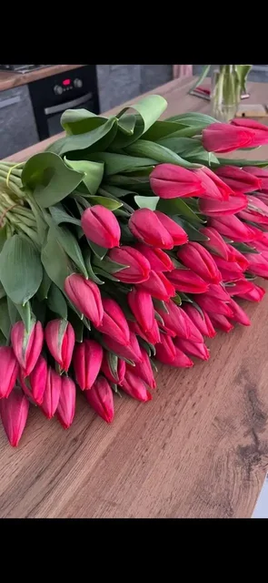 Тюльпаны оптом и в розницу к 8 марта - Цветы в Самара