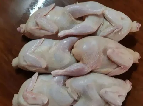 Мясо молодых перепелов мясной породы - Фермерские продукты в Сухая Вязовка