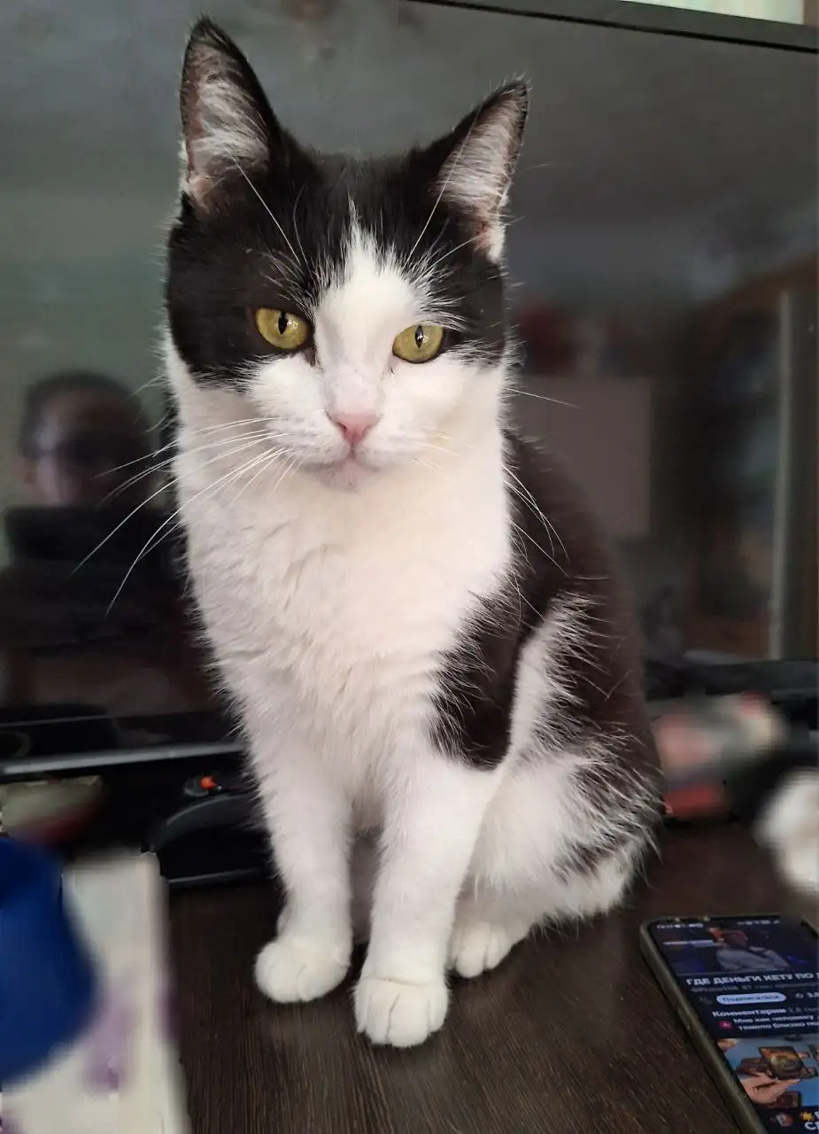 Поиск дома в Самаре - Дома (Недвижимость) в Самара