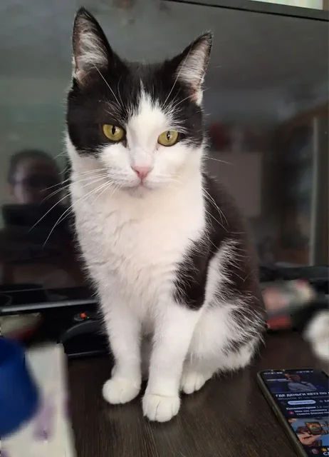 Поиск дома в Самаре - Дома в Самара