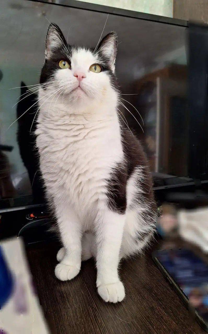 Поиск дома в Самаре - Дома (Недвижимость) в Самара