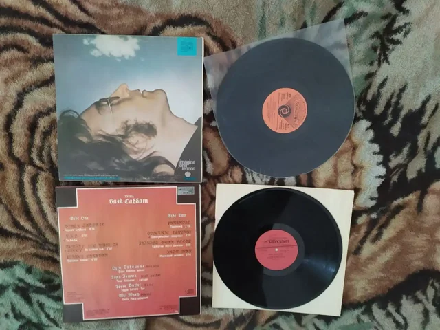 Коллекция виниловых пластинок - Картины в Самара