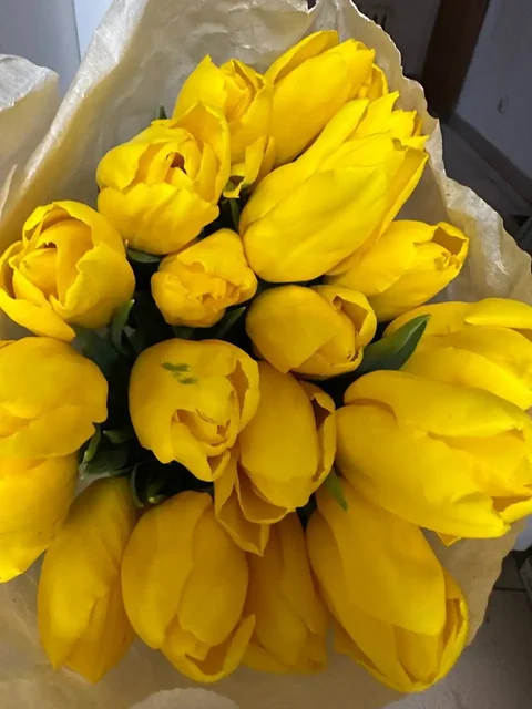 Продажа тюльпанов в Самаре - Картины в Самара