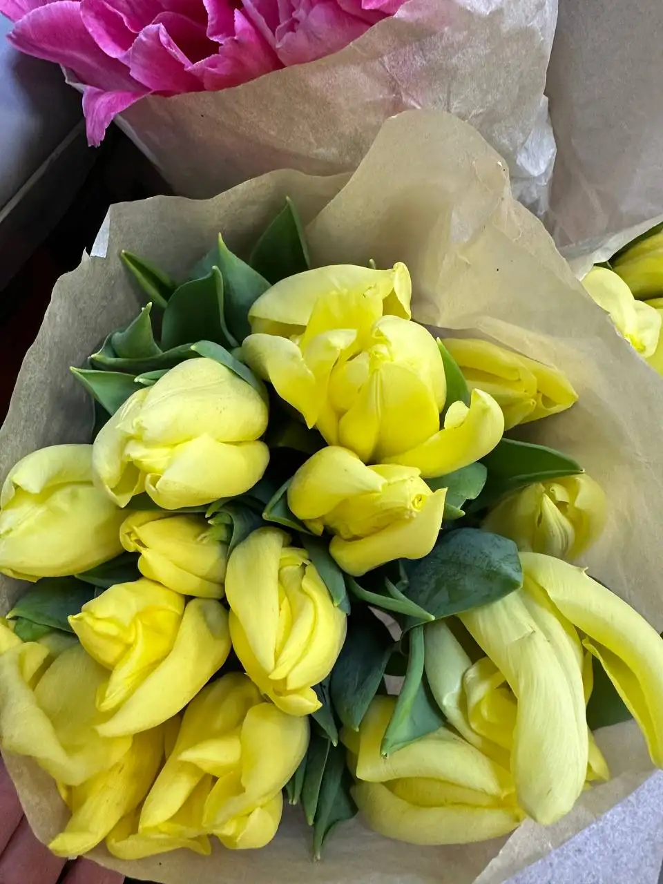 Продажа тюльпанов в Самаре - Растения (Хобби и отдых) в Самара