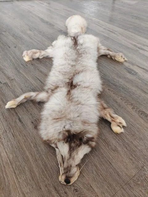 Продажа шкур, мехов и ковриков - Оборудование для бизнеса в Самара