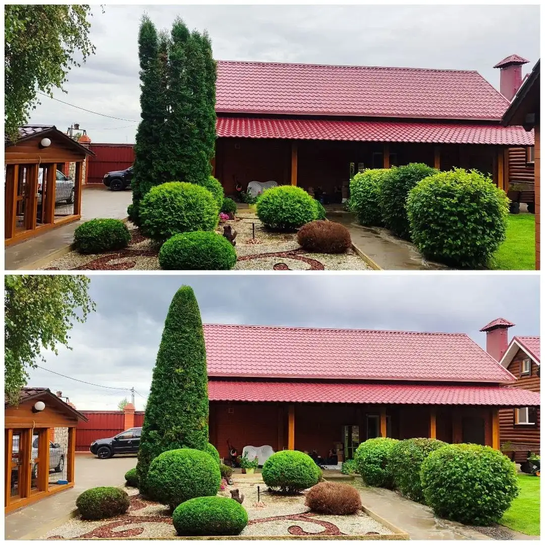 Услуги агронома по стрижке растений в Самаре - Услуги по уходу за растениями (Услуги) в Самара