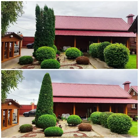 Услуги агронома по стрижке растений в Самаре - Медицинские услуги в Самара