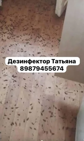 Комбо набор для уничтожения насекомых - Для дома и дачи в Самара