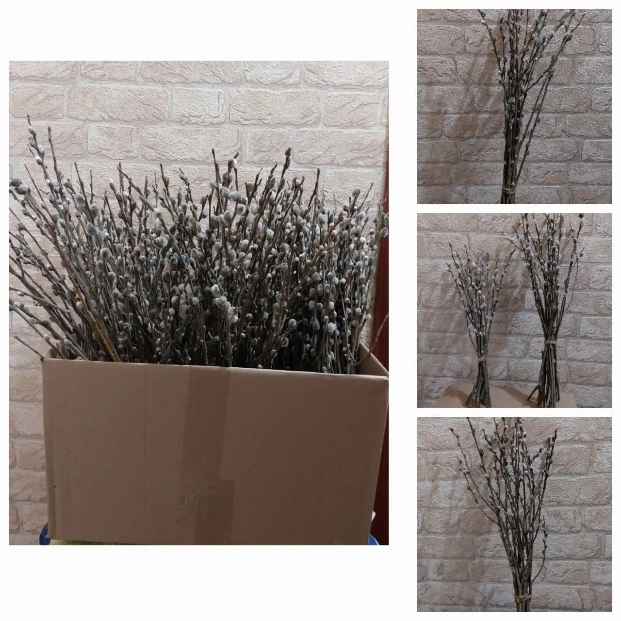 Продажа букетика вербы - Растения (Барахолка) в Самара