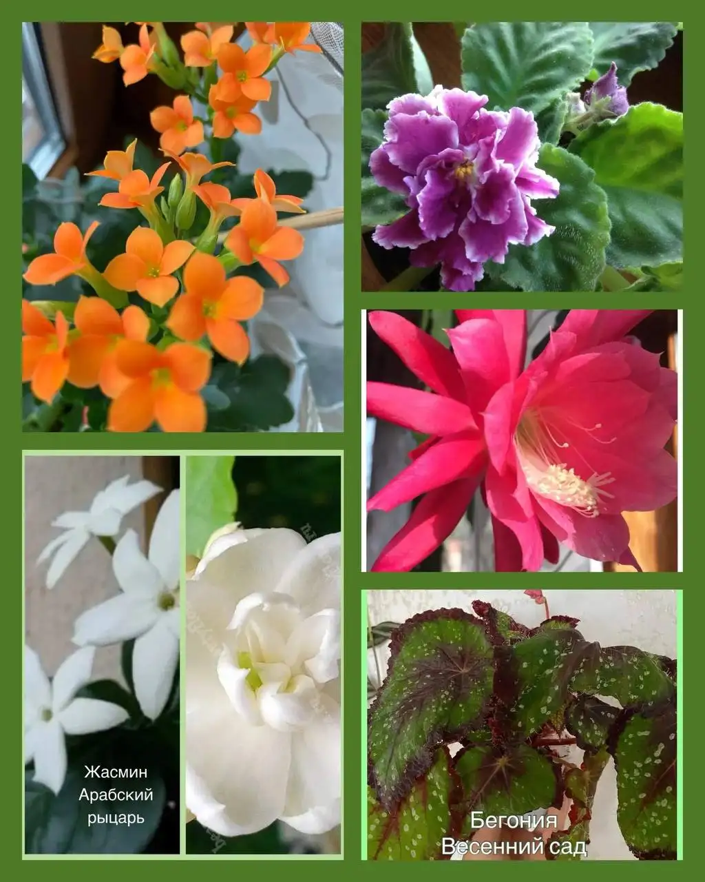 Продажа автомобиля Лада Веста - Легковые автомобили (Авто) в Самара