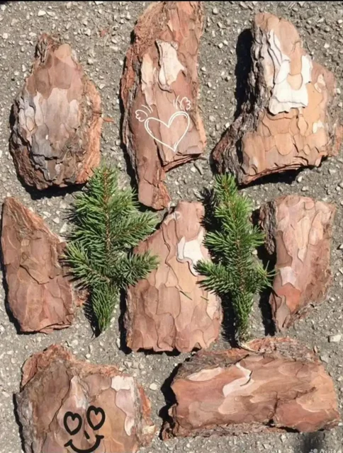 Продажа сосновой коры и хвойного опада - Барахолка в Самара