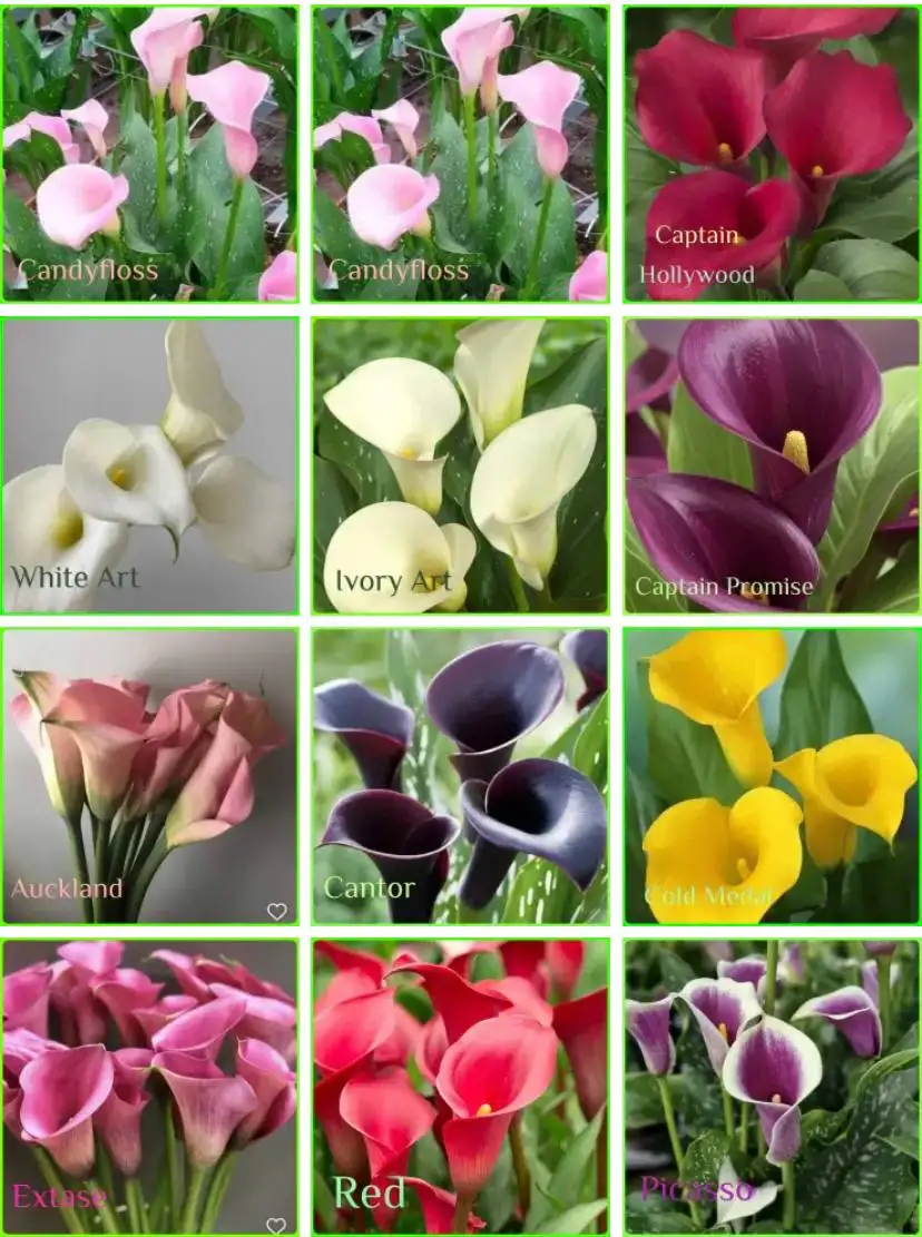 Кухонный гарнитур 2,5 метра - Мебель (Для дома и дачи) в Самара