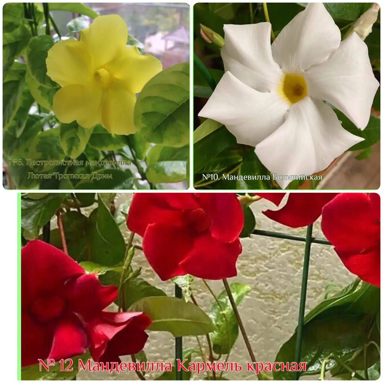 Кухонный гарнитур 2,5 метра - Мебель (Для дома и дачи) в Самара