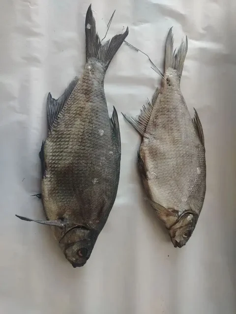 Вяленый лещ, щука, раки - Еда в Неизвестно