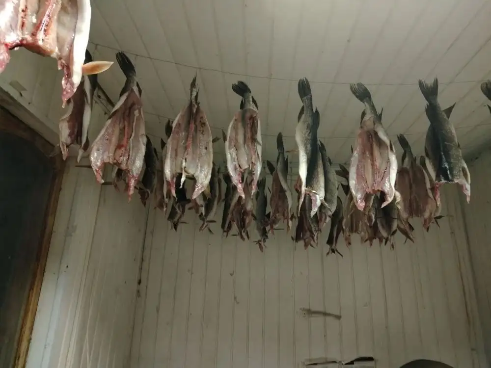 Вяленый лещ, щука, раки - Рыба (Еда) в Неизвестно