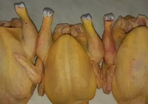 Мясо бройлера на натуральном корме - Продукты питания в Самара