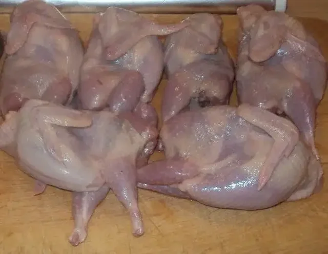 Мясо домашних перепелов - Кошки в Неизвестно