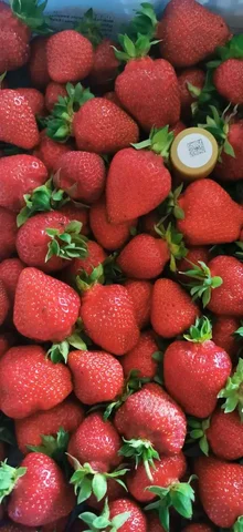 Продажа клубники отборной сладкой - частное объявление в Самара