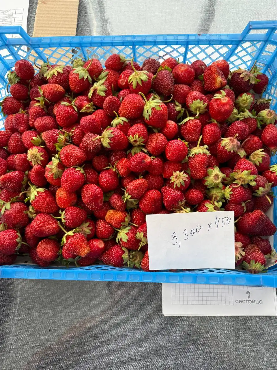 Продажа свежей клубники - Фрукты и овощи (Продукты) в Самара