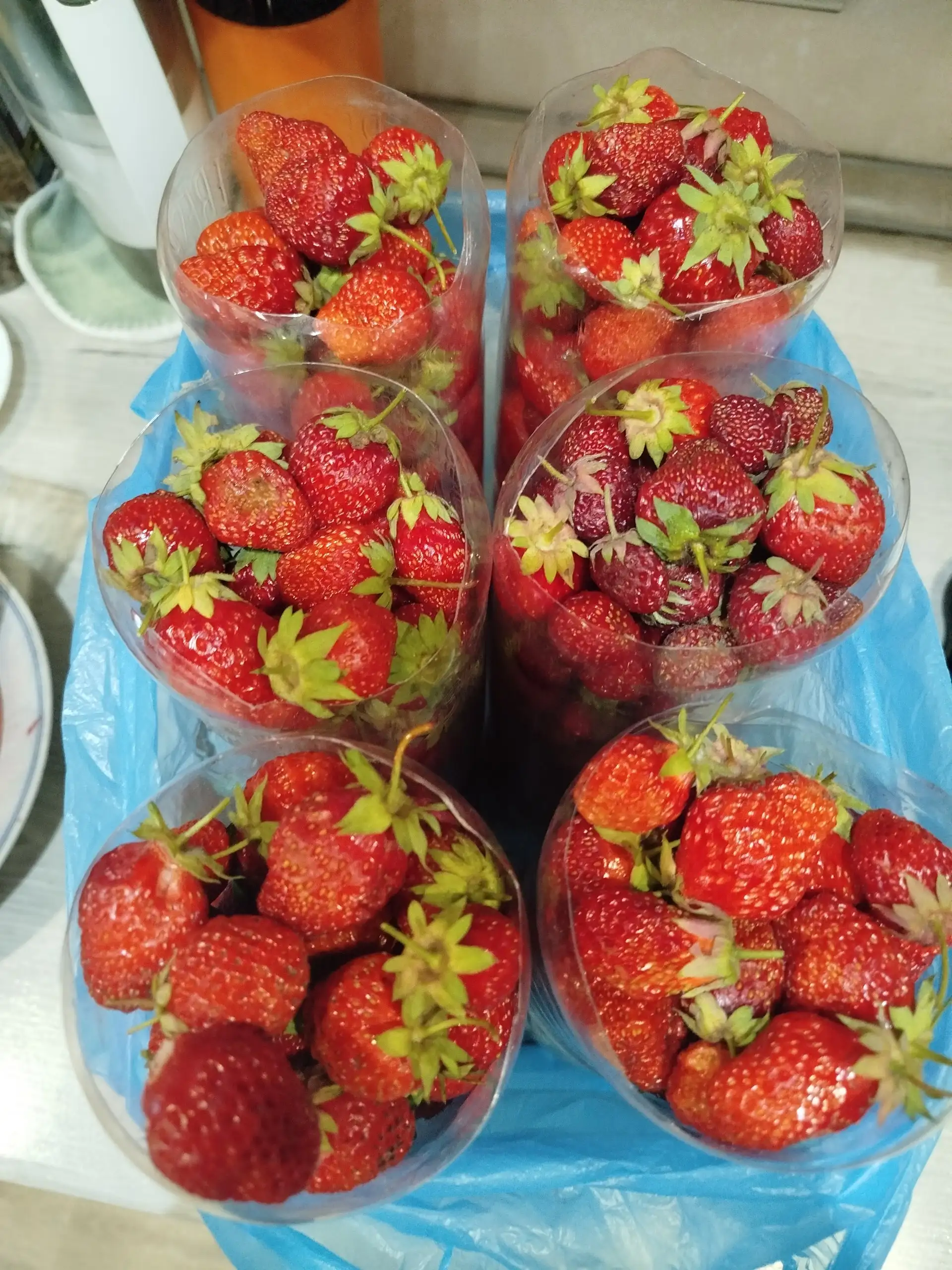 Продажа клубники и рассады - Ягоды и зелень (Продукты питания) в Самара
