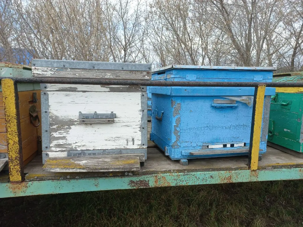 Продам сушь - Барахолка в Самара