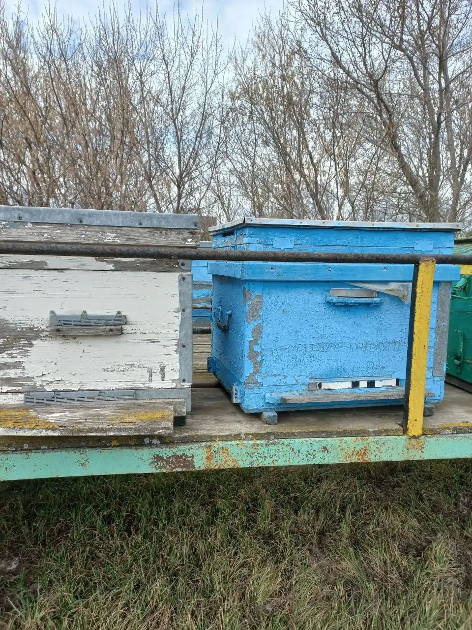 Продам сушь - Барахолка в Самара