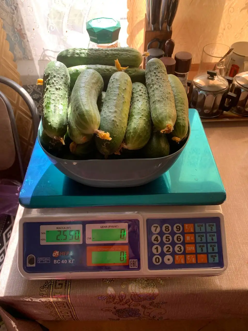 Продам огурцы свежие - Барахолка в Самара