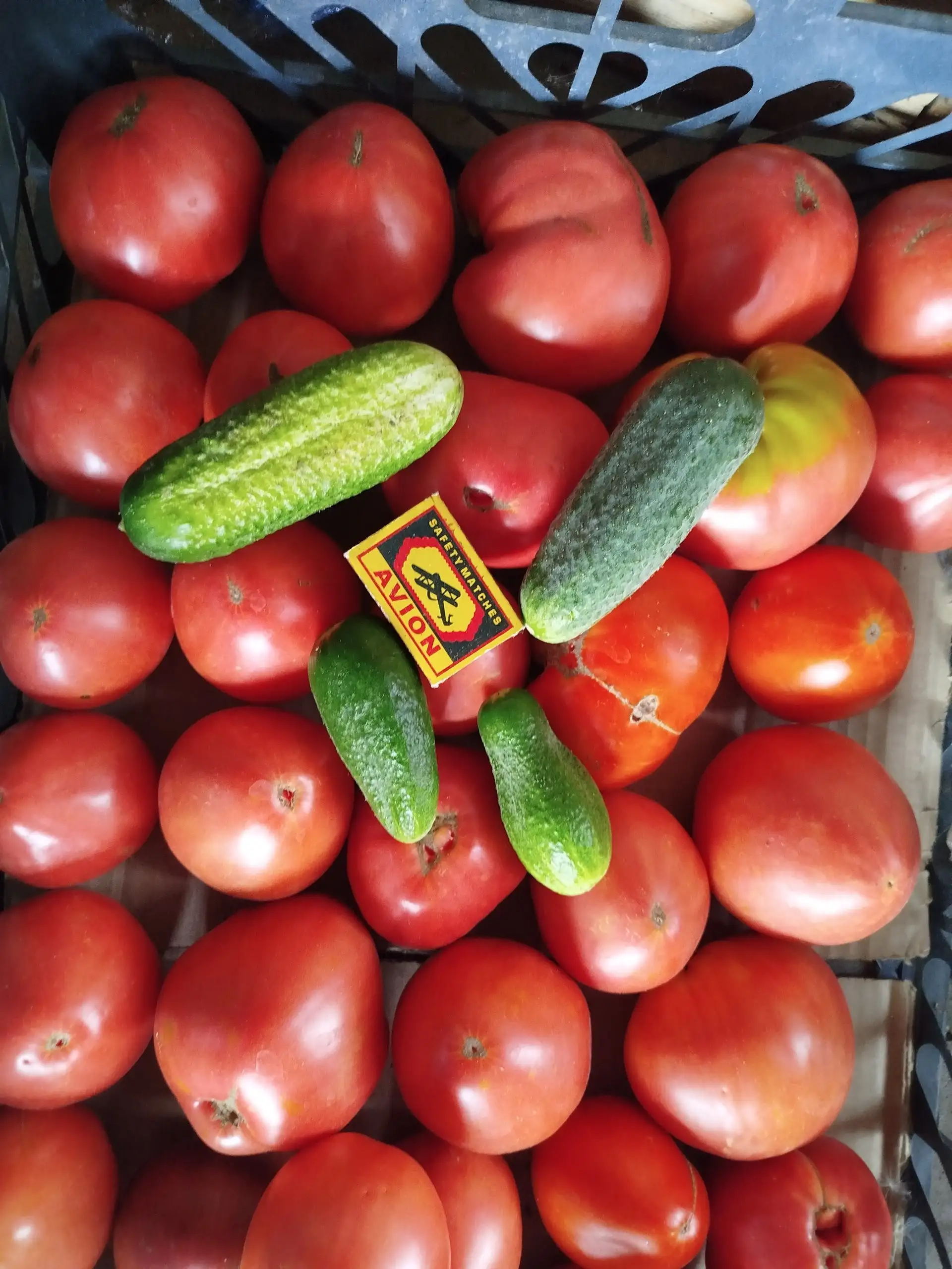 Продажа свежих помидоров и листьев - Для дома и дачи в Самара