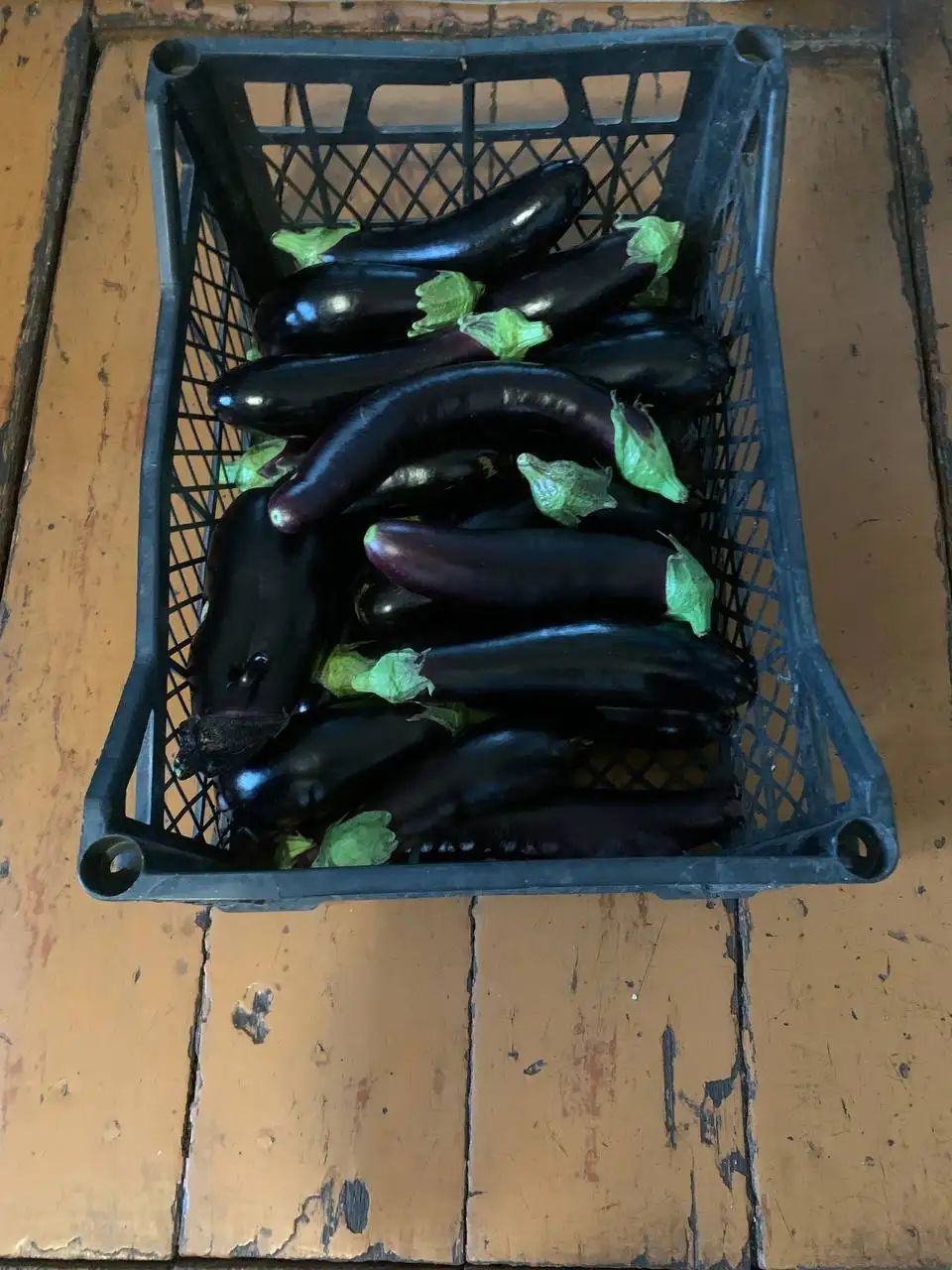 Продам баклажаны, 150 руб/кг - Продукты (Барахолка) в Самара