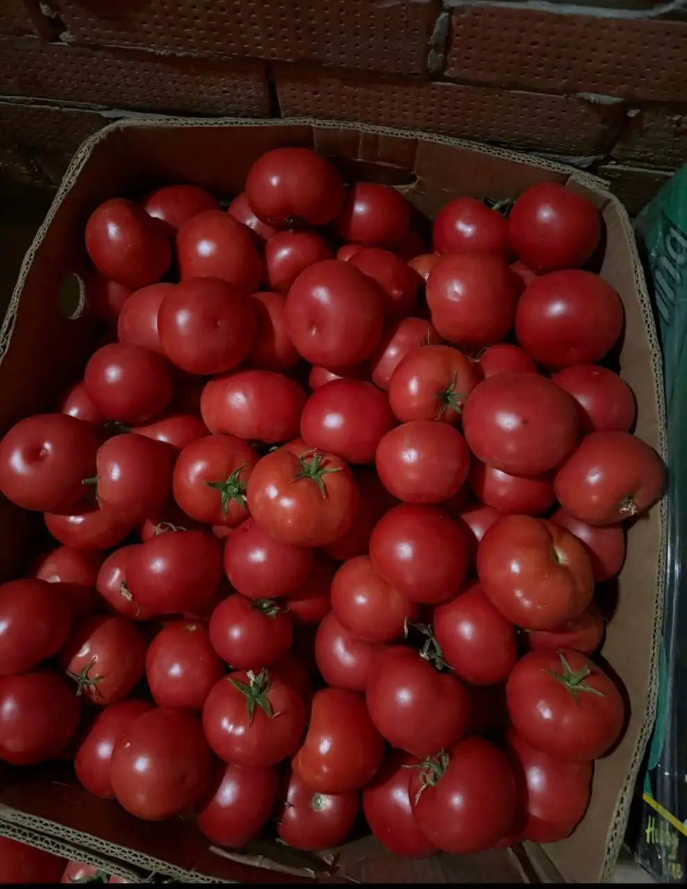 Продам домашние помидоры, сладкие - Барахолка в Самара