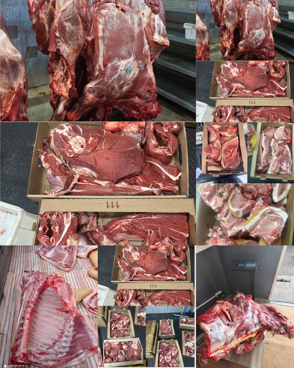 Продам свинину и телятину - Услуги в Иркутск