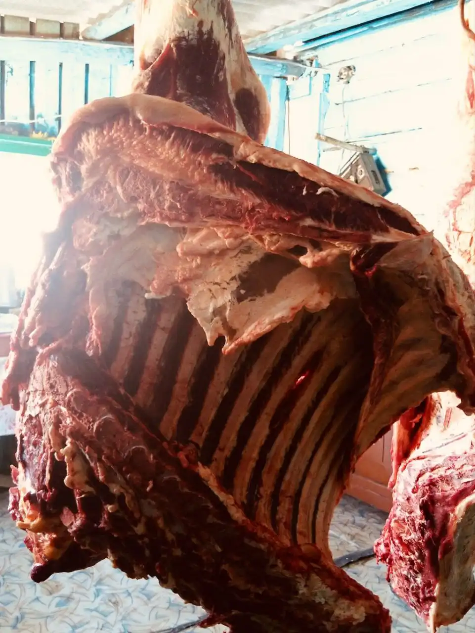 Продажа мяса молодой говядины в Улан-Удэ