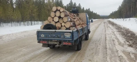 Продажа сырых сосновых дров 6 рядов - частное объявление в Улан-Удэ