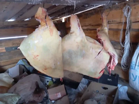 Продажа домашней свинины - Барахолка в Улан-Удэ