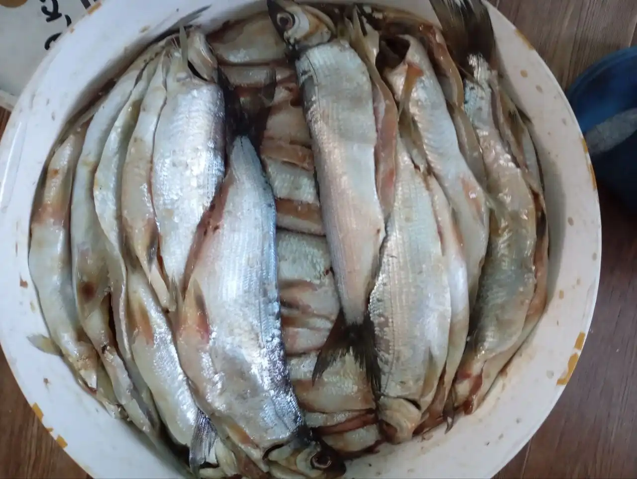 Свежая рыба с реки Баргузин и севера Бурятии - Продукты питания (Барахолка) в Улан-Удэ