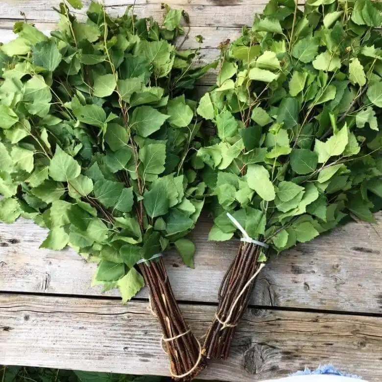 Березовый веник для бани с целебными свойствами - Банные принадлежности (Хобби и отдых) в Улан-Удэ