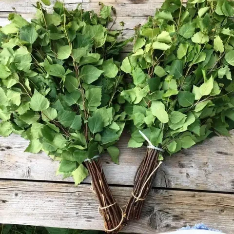 Березовый веник для бани с целебными свойствами - Цветы в Улан-Удэ