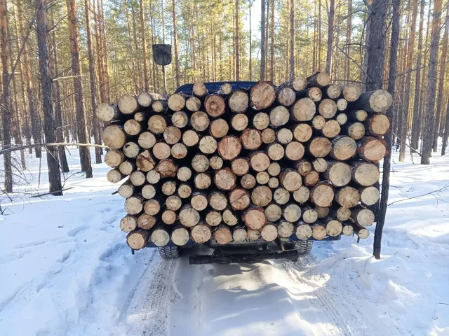 Продажа сухих дров в Улан-Удэ - Дрова и топливо в Улан-Удэ