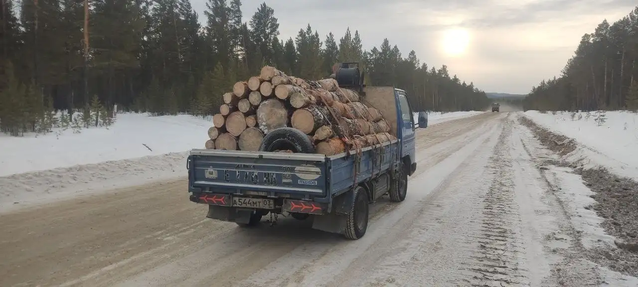 Дрова полусырые сосна 6 рядов - Дрова (Для дома и дачи) в Улан-Удэ