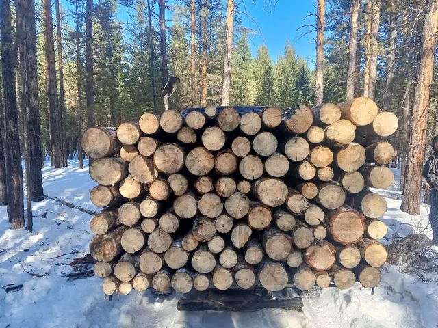 Сухие 2.5 метра - Рыба в Улан-Удэ