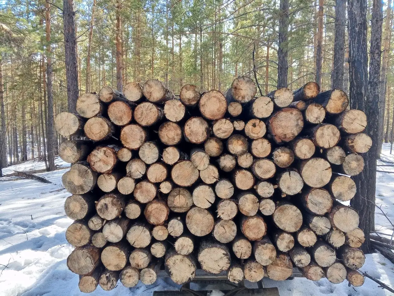 Сухие 2.5 метра - Барахолка в Улан-Удэ