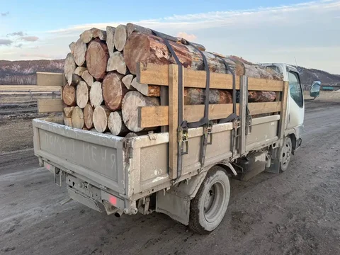 Продам дрова сухие и сырые с доставкой - Для детей в Улан-Удэ