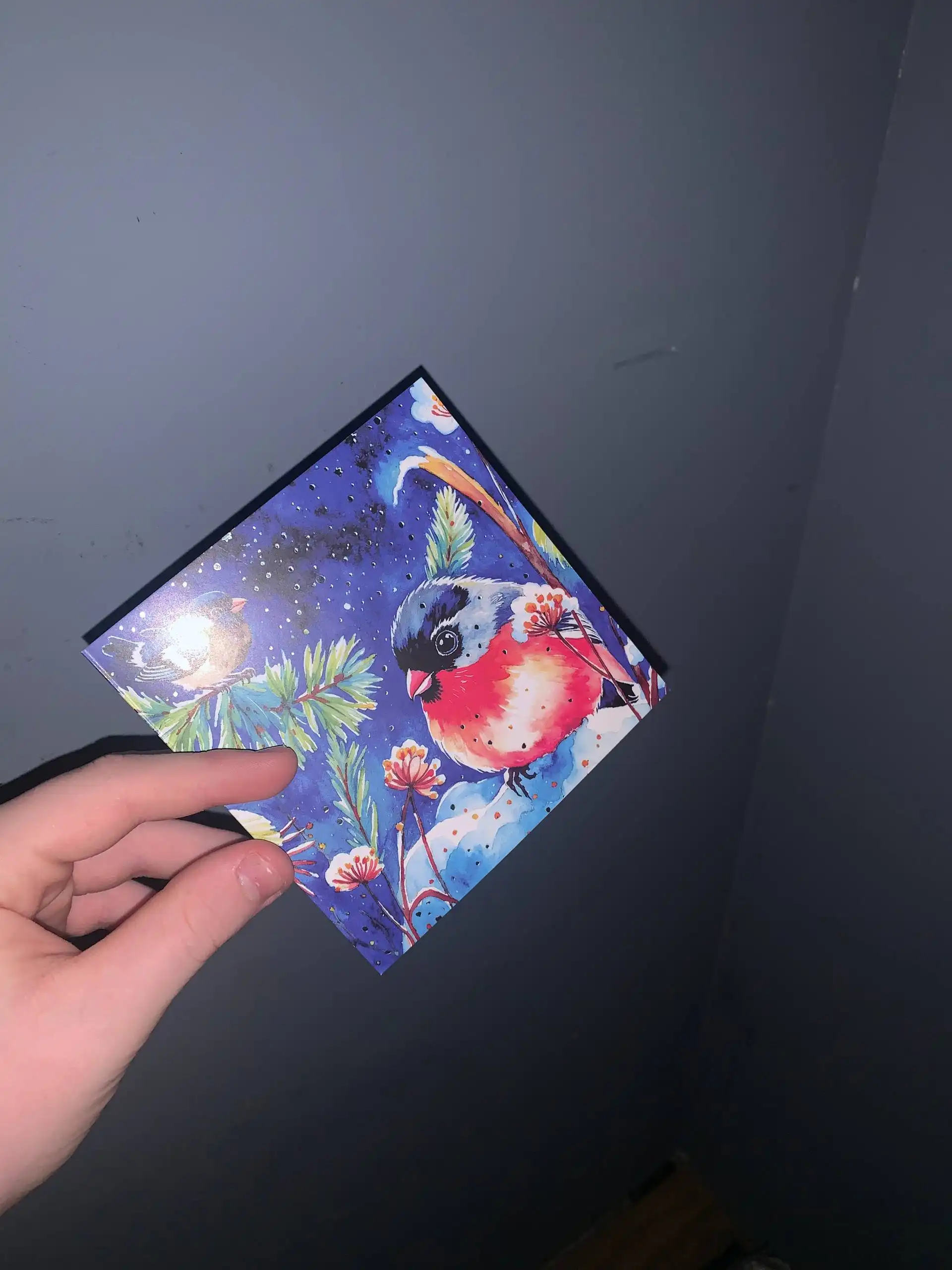 Сертификат Озон