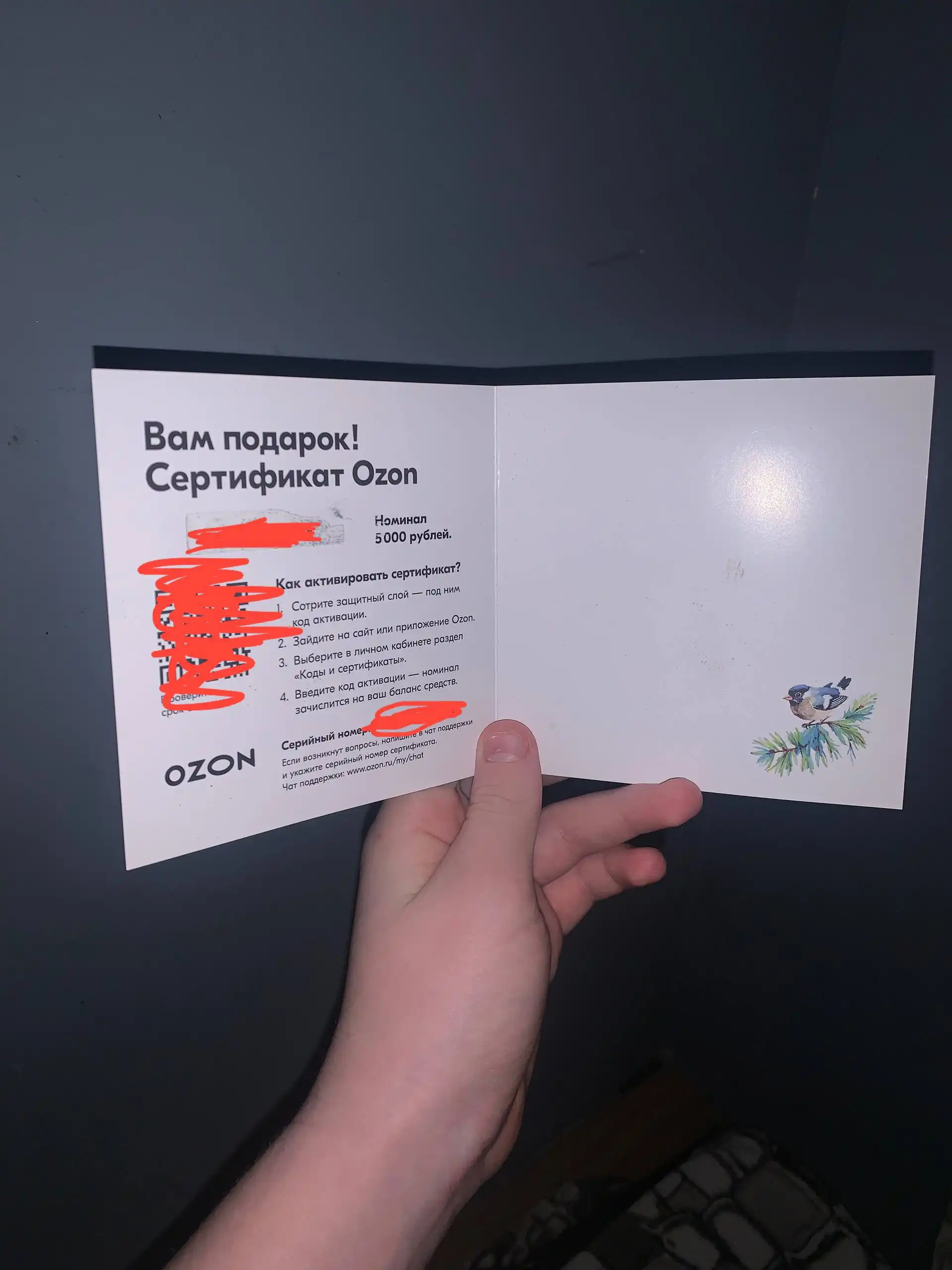 Сертификат Озон