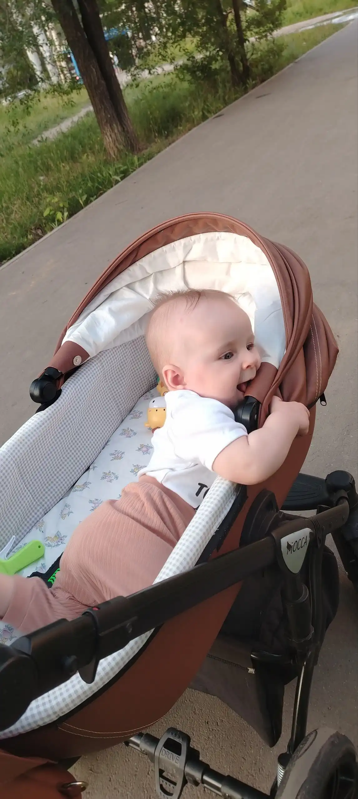 Коляска Verdi mocca 3в1